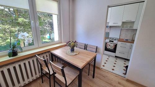 Głuchołazy Apartment | polanka
