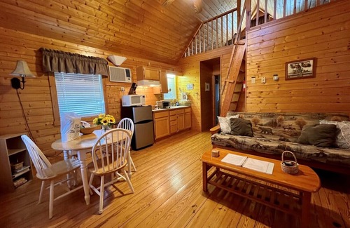 Laurel Springs Cabin | Pond, fireplace, WIFI, No Pets, near Blue Ridge Parkway