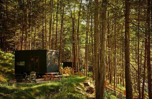 Elkton Other | Postcard Cabins Beaver Creek