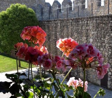 Uruena House | Pozolico Hotel Rural