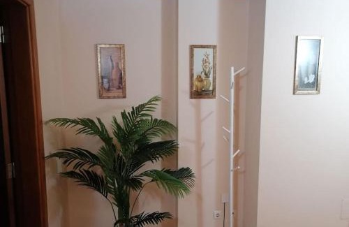 Praia de Mira Apartment | Praia de Mira - Apartamento T2