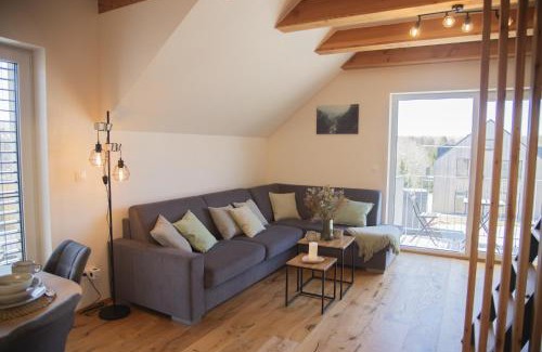 Dolni Morava Apartment | Pramen apartment by Nora apartments