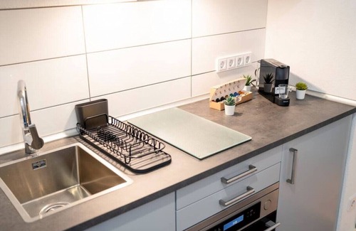 Mannheim Apartment | Premium Studio 1 Min to HBF