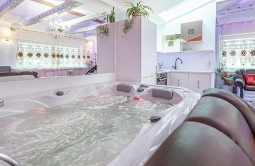 Vilnius city municipality Apartment | President Apartments villa SPA