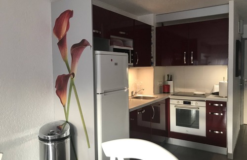 Cap d'Agde Apartment | PRETTY GROUND FLOOR CONTEMPORARY GARDEN BROWN