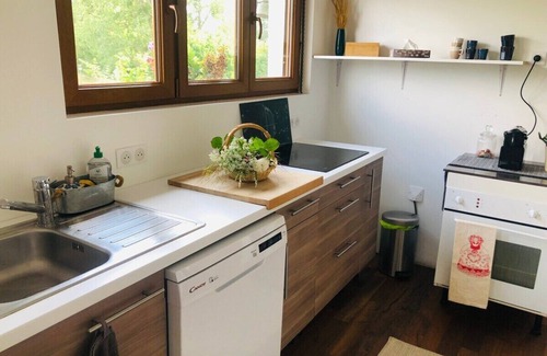 Bischwiller House | Pretty, spacious gite surrounded by greenery