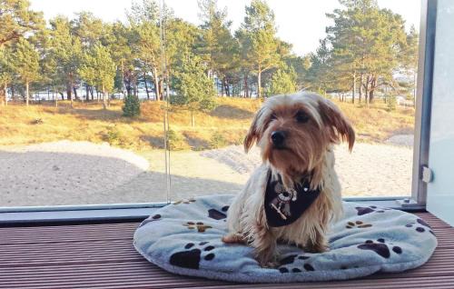 Prora Apartment | Princess