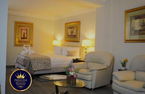 Corozal Hotel | Princess Hotel and Casino Free Zone