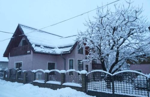 Liptovsky Jan Apartment | Privát Erika