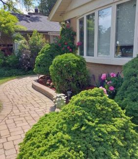 Rexdale Apartment | Private Apartment Close to Airport Toronto Pearson