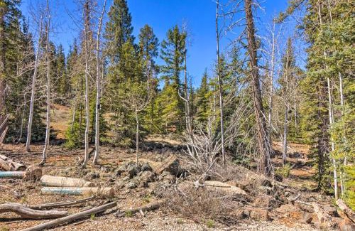 Duck Creek Village Apartment | Private Duck Creek Apartment Near Entertainment!