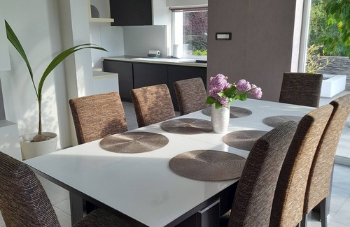 Budaors Villa | PRIVATE Family VILLA with jakuzzi & swimming pool