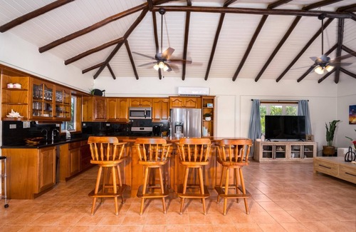 Placencia Apartment | Private Oceanfront 4-Bed Villa w/Pool on Huge Lot