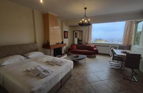 Ano Kipseli Villa | Private pool & Panorama View on Athens center Hill