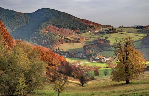 Furth an der Triesting Resort | Private room ∙ 1 bedroom ∙ 2 guests