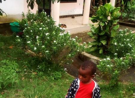 Mbeya Resort | Private room ∙ 1 guest