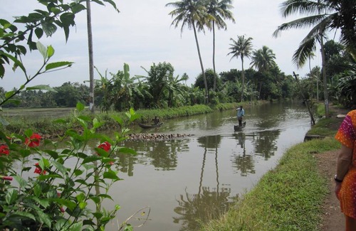 Kumarakom Resort | Private room ∙ 2 guests