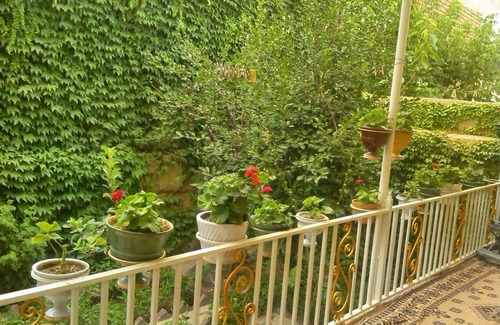 Hamedan Province Resort | Private room ∙ 2 guests