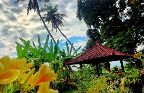 Umeanyar Villa | Private Villa North Bali with Ocean Pool Rice Field View