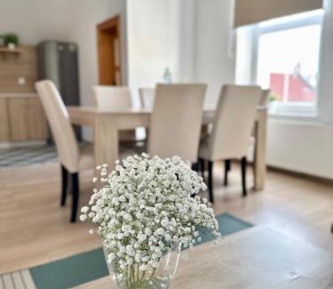 Bielawa Apartment | Przestronny apartament nr 7 z widokiem na góry Sowie