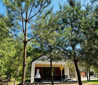 gmina Wierzbinek Cabin | Przystanek Nowa Ruda