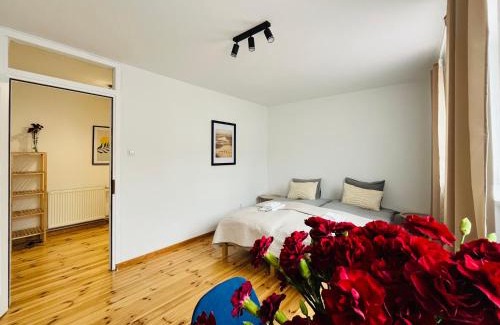 Srodmiescie Apartment | Przytulne Apartamenty w centrum Lublina