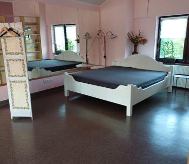 Pszczyna Apartment | Pszczyna Centrum