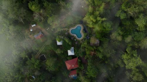Kattikkulam Resort | Pugmarks Jungle Resort