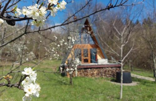 Telega House | Pumbaa House at Casa Twiga, Melicesti, Prahova, Romania