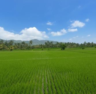 Selat House | Puri Indah Inn Guest House