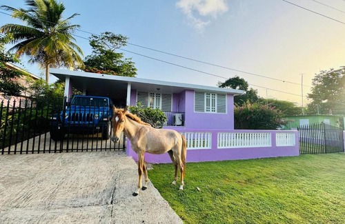 Esperanza House | Purple Sunset - Walk to Malecon & Beaches