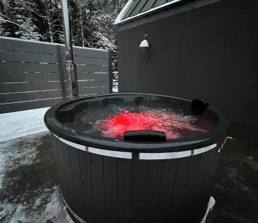 Skulte House | Putnu pirts