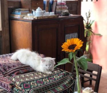 Da Lat Hotel | Quán trọ Nhiên House Cầu Đất