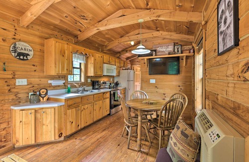 Warrensville Cabin | Quaint Log Cabin w/Views Near West Jefferson