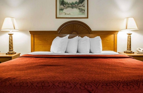 Rochester Hotel | Quality Inn Rochester South