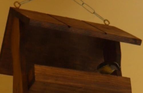 Nazare Apartment | Quarto de casal Ideal para o Círio e COP-Apartamento compartatilhado