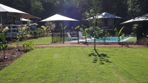 Nelly Bay Resort | Queen Safari Tent 10
