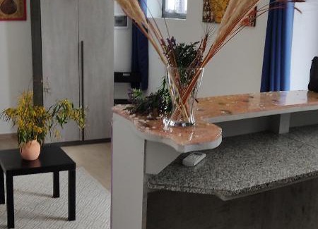 Arzachena Apartment | Quercus ilex A in the historic center