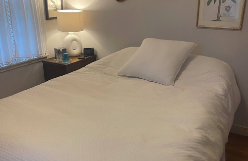 Robbinsdale Bed & Breakfast | Quiet & stylish 1 BR, bathroom, office for solo business traveler in shared home