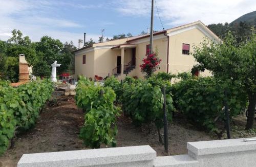 Tarouca House | Quinta da Gandarela