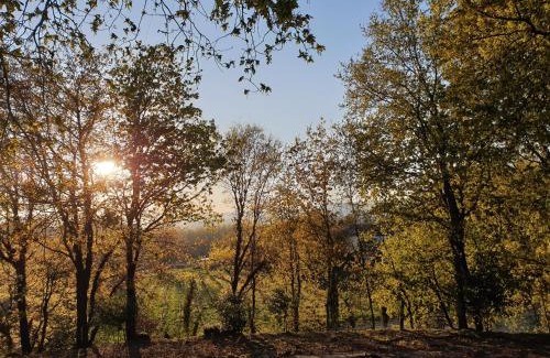 Mosteiro Villa | Quinta Das Essências