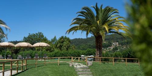 Travanca House | Quinta de Carcavelos Natures Home
