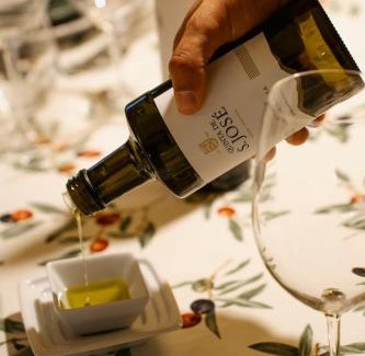 Cotas House | Quinta de S. Jose - Turismo Rural