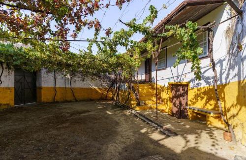 Peso da Regua House | Quinta de Villa Franca - Douro