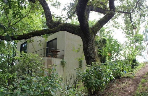 Gatao Cottage | Quinta do Cabo - Gatão - Amarante