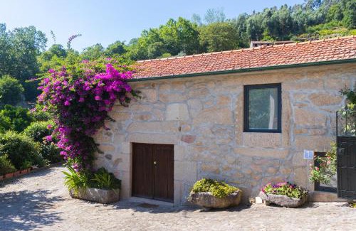 Cabeceiras de Basto Villa | Quinta do Tapadinho - Wine & Tourism
