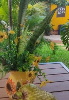 Ticul Bed & Breakfast | Quinta Rosita