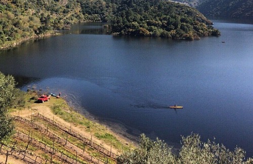 Cotas Other | Quinta Vila Rachel - Winery - Flora House