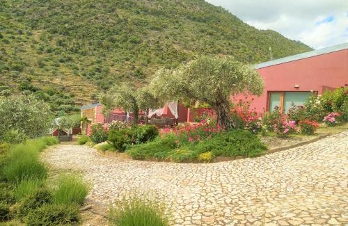 Carrazeda de Ansiaes House | Quinta Vale de Carvalho