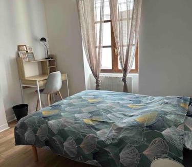 Chateauroux Apartment | Rêve Citadin Votre Cocon au Centre Ville